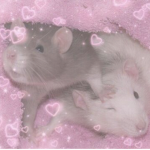 *•~CandyRatz~•*