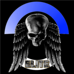 Call of Duty Elite Team