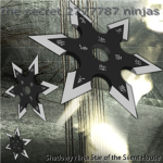 the secret 2777787 ninjas