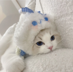 xuwo'