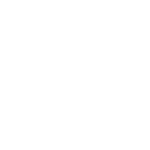 Auric Enterprises