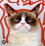 Angry Cats from hell