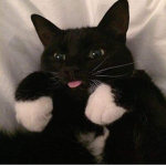 xkaxra <3