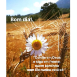 fofinhos gamer br