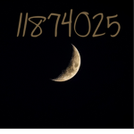 GO TO DA MOON+