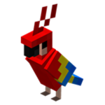 !Land of the Parrots!