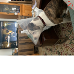Olivia’s Friend house