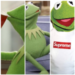 Kermit pLaYs official fan club!