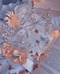 - Aesthetic Warning -