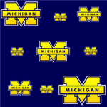 {"Michigan Wolverines''}