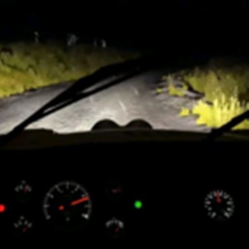 endless night drive joke