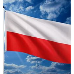 TA GRUPA JEST POLSKA