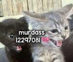 0 FEAR 0