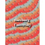 Bloxburg..University