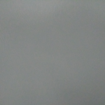 아들자캣 클럽