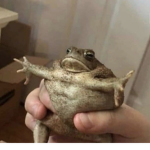 Katsoda's Studio!