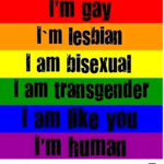 LGBTQ+ Roblox Community.