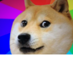 Doge of all doges