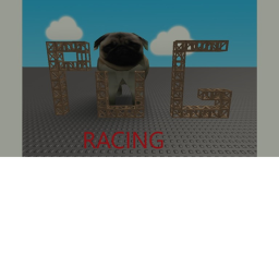 PUG RACING