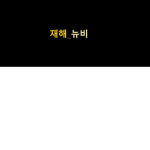 재해_뉴비