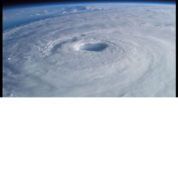 Hurricane Survival