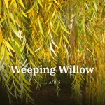 Weeping Willow Labs Group Thumbnail