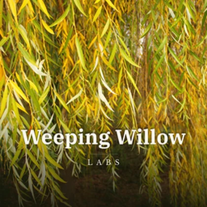 Weeping Willow Labs Roblox group icon