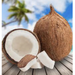 Coconutlol