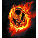 The Traiers For The Hunger Games
