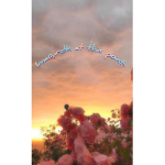 -Starlit Angles-