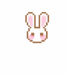 bunny fan group!!!