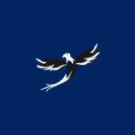 H4W AIRLINES