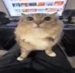 rarghgh