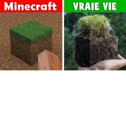 minecraft vs realiter
