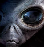 Imaalien Fan Group!