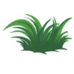 Grass Grass Group Thumbnail