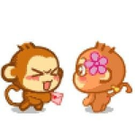 I Love Silly Monkeys