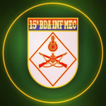 Infantaria de Brigada