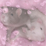 The lavender loves gaming!
