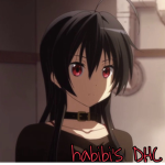 habibi’s I dhc