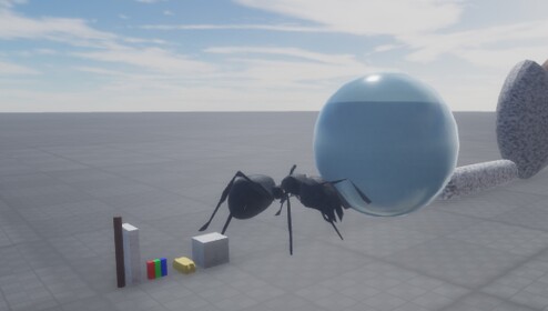 Size comparision SCALED