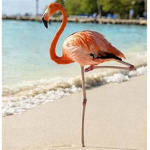 FLAMINGOS!