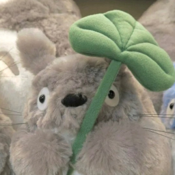 ꒰ 🐈 ˚｡ ✩ ꒱