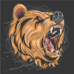 ~fans~of~bears~