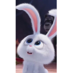 The Rabbit fan group