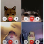 The chrips