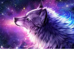 Space of the Wolf guardians