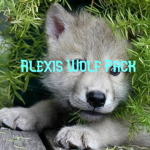 #Alexis Wolf Pack!