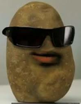 Potato Army Gang are the best