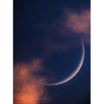 Official Moonlight_Shadowz Group